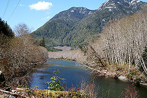 Salmon Rivers. Drive to Ocean Mist Guesthouse, Highway 4, Ucluelet, BC