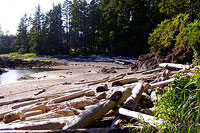 Ucluelet Beaches, Sunset Beaches, Walking Beaches, Picnic Beaches, Trails to Beaches, Ucluelet, BC Beaches